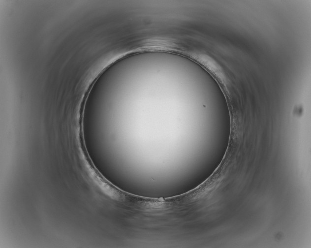 X0000097621431200803071501