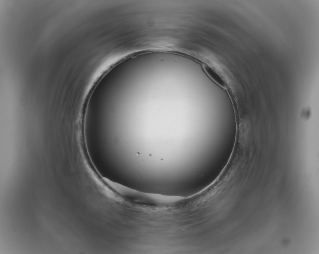 X0000097621432200803071501