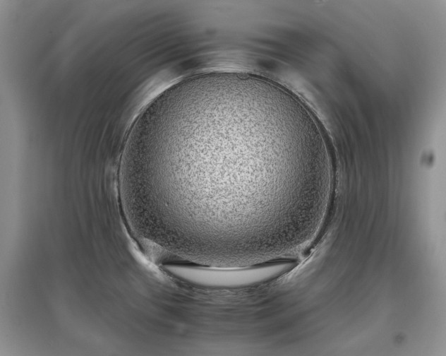 X0000097621433200803071501