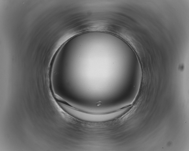 X0000097621434200803071501