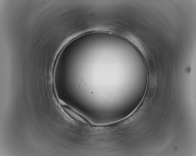 X0000097621436200803071501