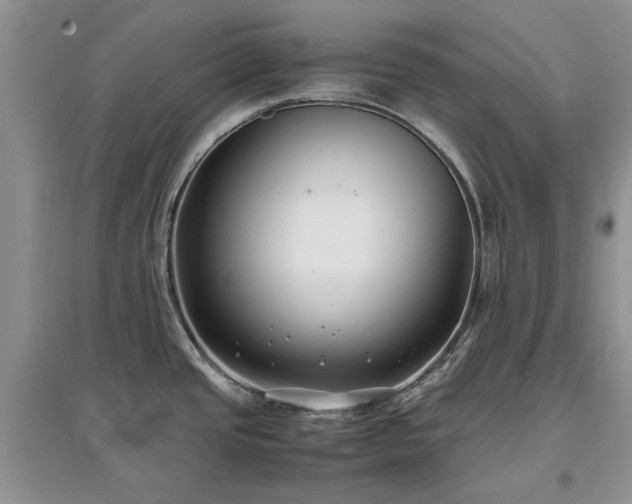 X0000097621437200803071501