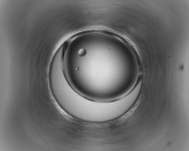 X0000097621438200803071501