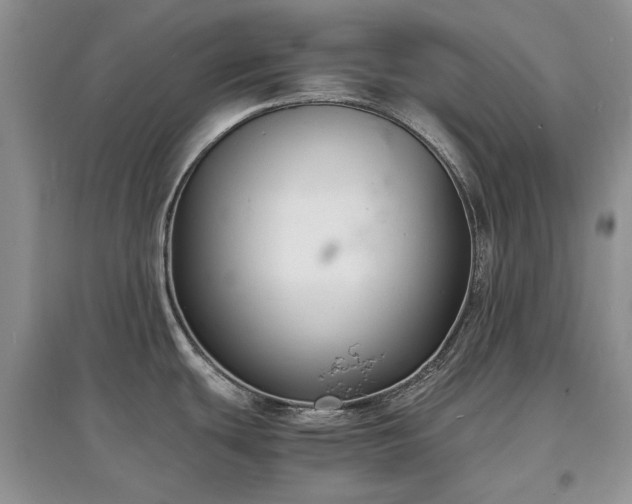 X0000097621439200803071501