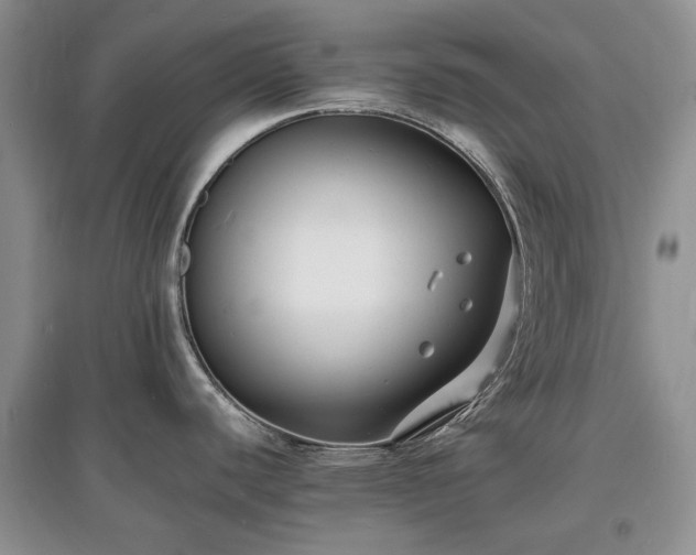 X0000097621440200803071501
