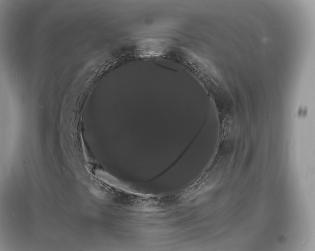 X0000097621441200803071500