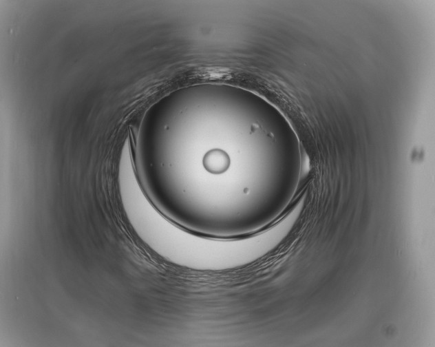 X0000097621442200803071500