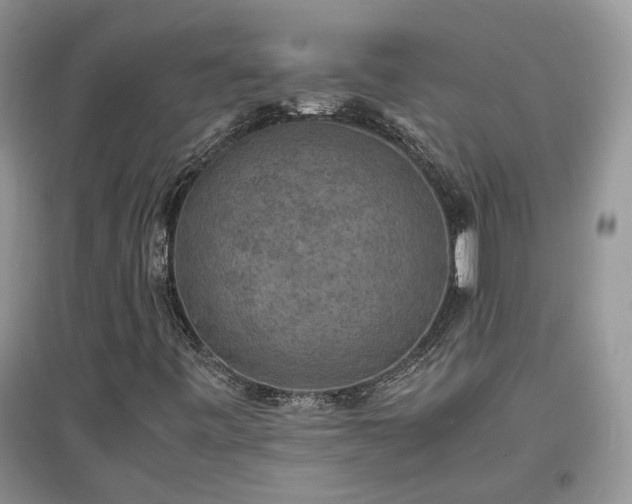 X0000097621443200803071500