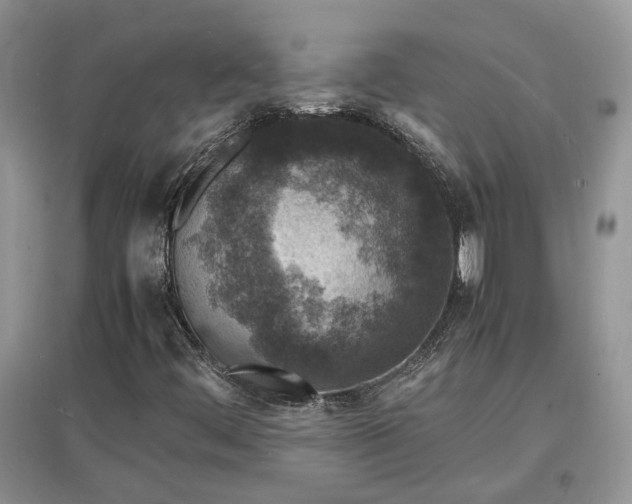 X0000097621444200803071500
