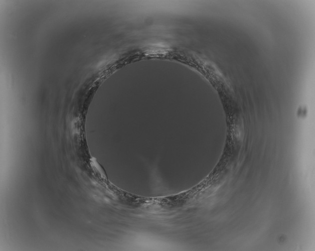 X0000097621445200803071500
