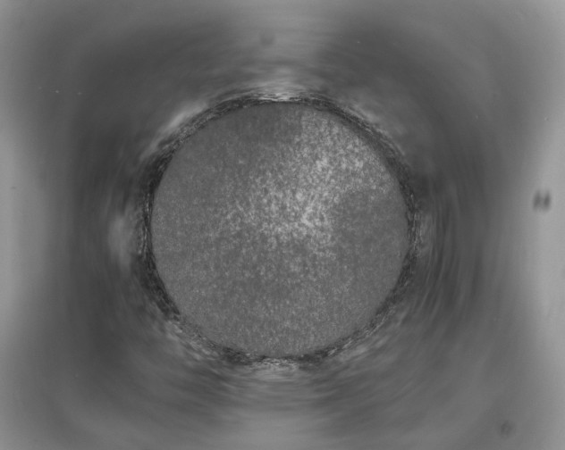 X0000097621446200803071500