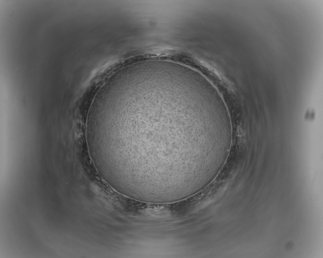 X0000097621447200803071500