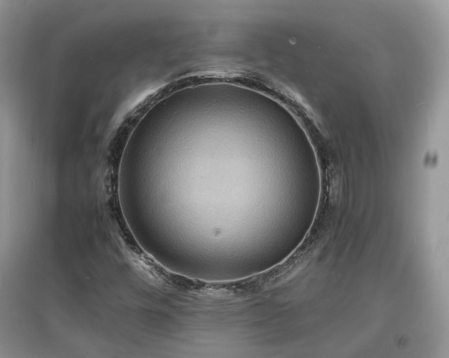 X0000097621448200803071500