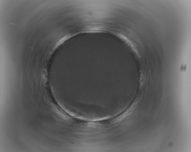 X0000097621449200803071500
