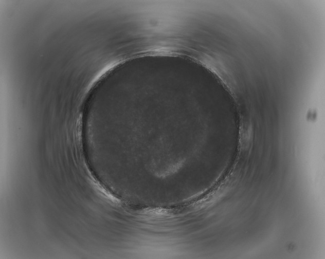 X0000097621450200803071500