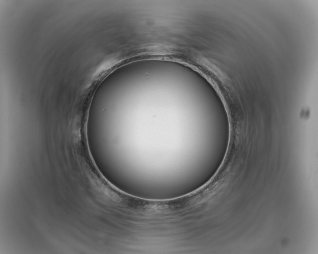 X0000097621451200803071500