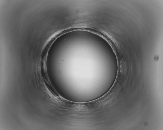 X0000097621452200803071500