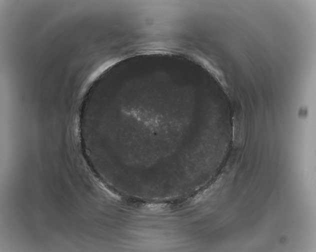 X0000097621453200803071500