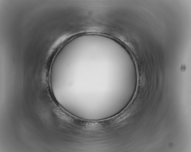 X0000097621454200803071500