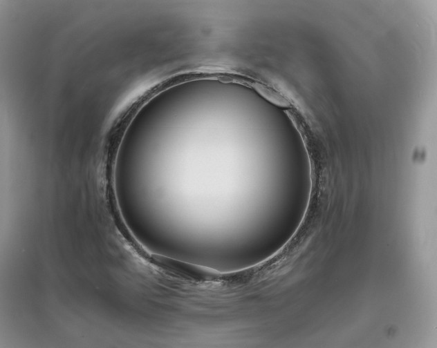 X0000097621456200803071500
