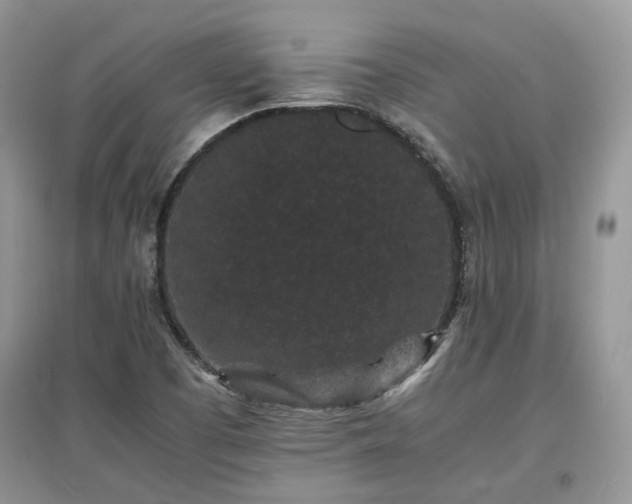 X0000097621457200803071500