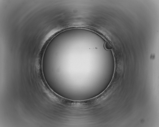 X0000097621458200803071500