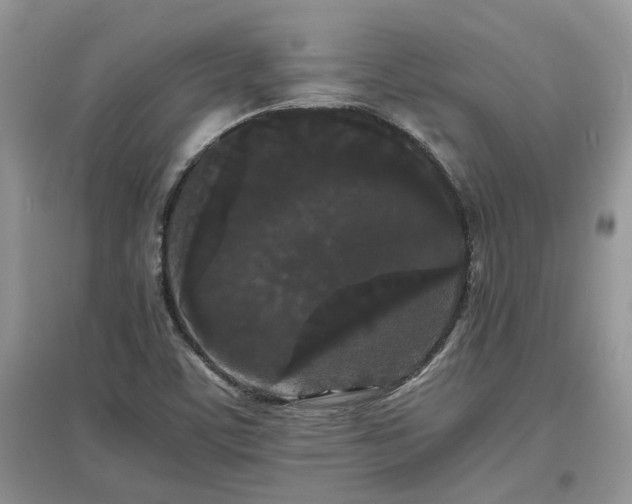 X0000097621459200803071500