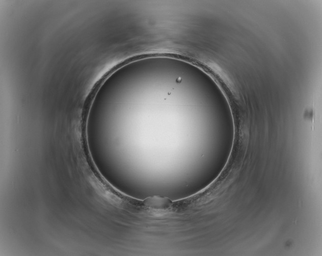 X0000097621460200803071500