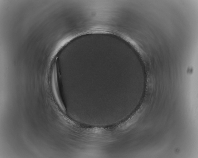 X0000097621461200803071500