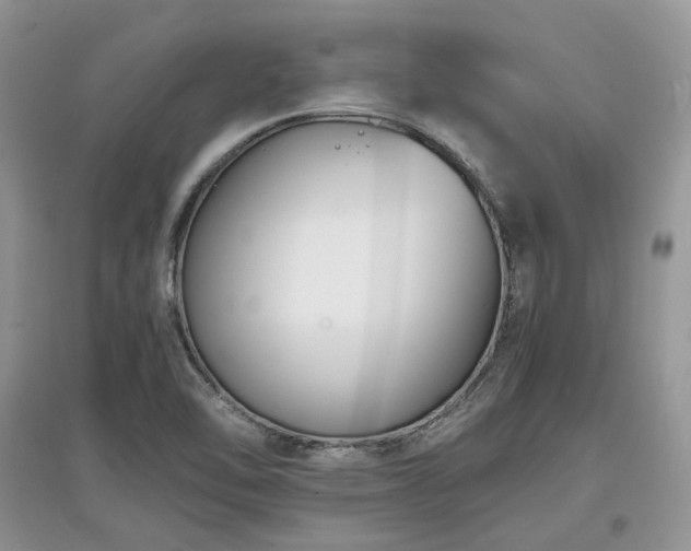 X0000097621462200803071500