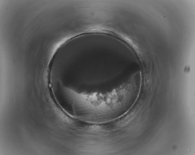 X0000097621463200803071500