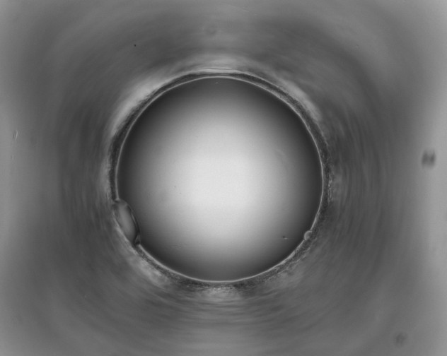X0000097621464200803071500