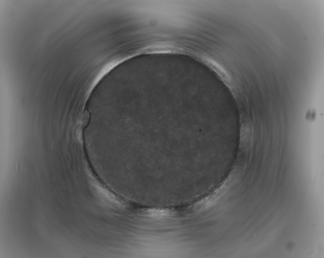 X0000097621465200803071500