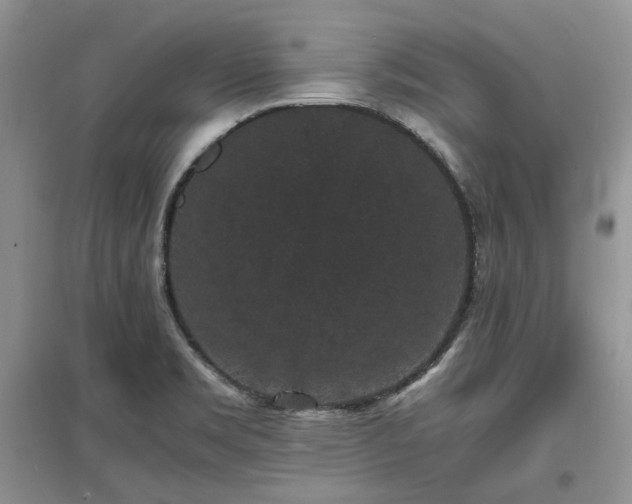 X0000097621469200803071500