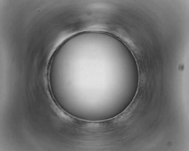 X0000097621470200803071500