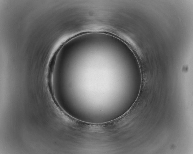 X0000097621472200803071500