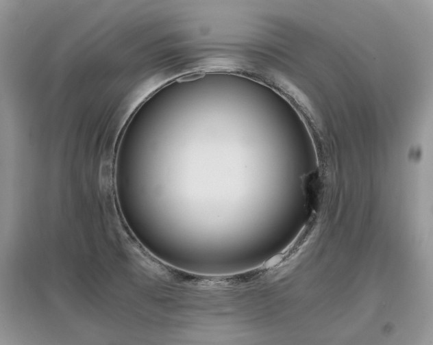 X0000097621473200803071500