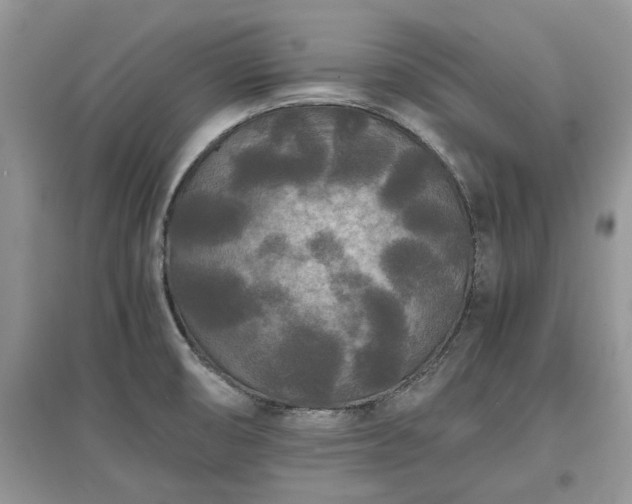 X0000097621474200803071500