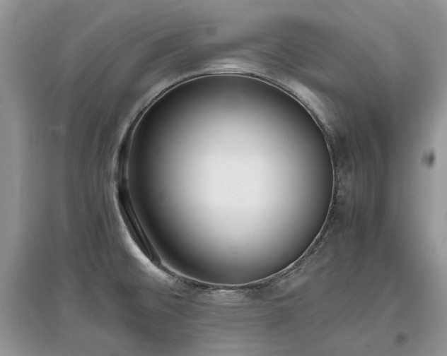X0000097621476200803071500