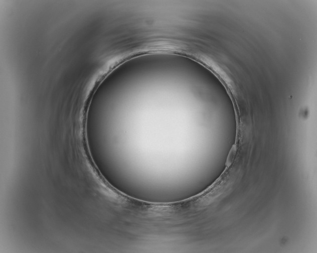 X0000097621477200803071500