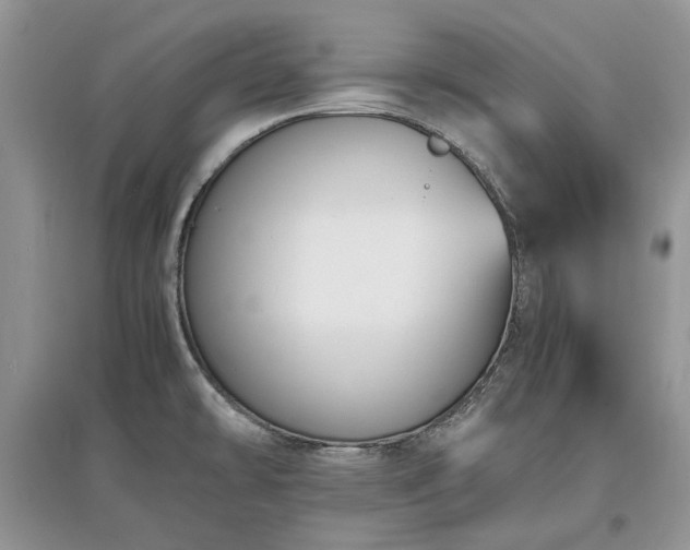 X0000097621478200803071500
