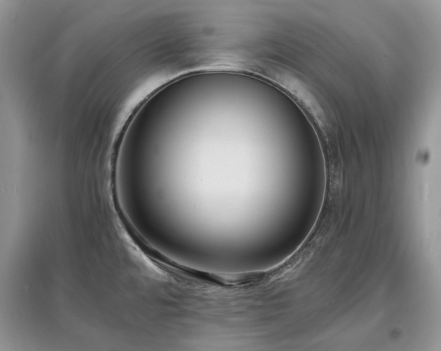 X0000097621480200803071500