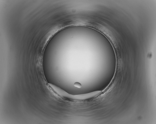 X0000097621481200803071500