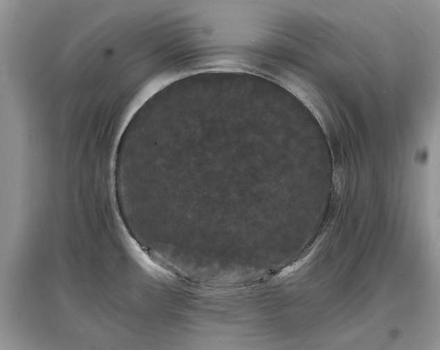 X0000097621482200803071500