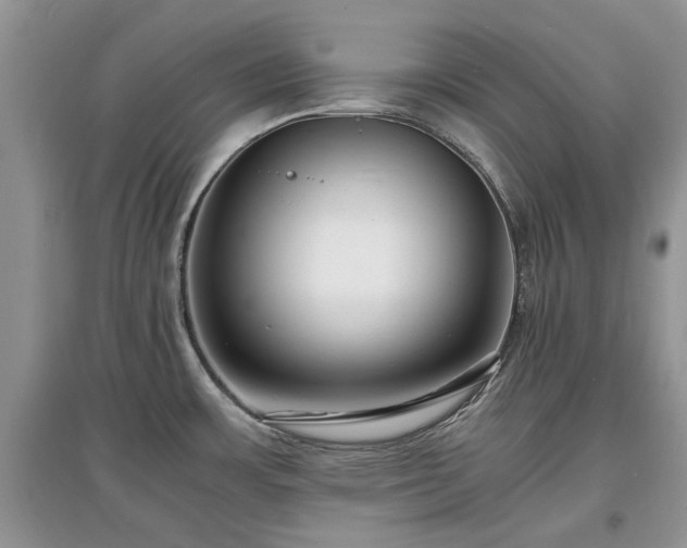 X0000097621483200803071500