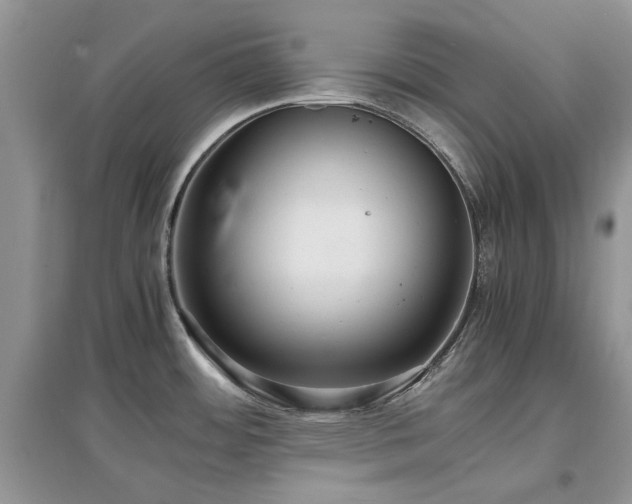 X0000097621484200803071500