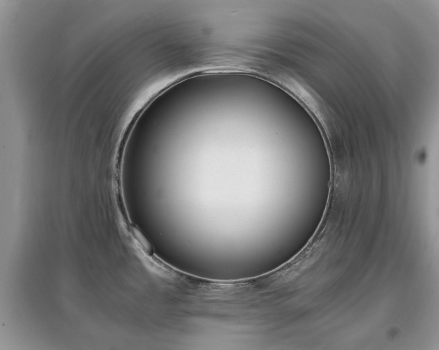 X0000097621485200803071500