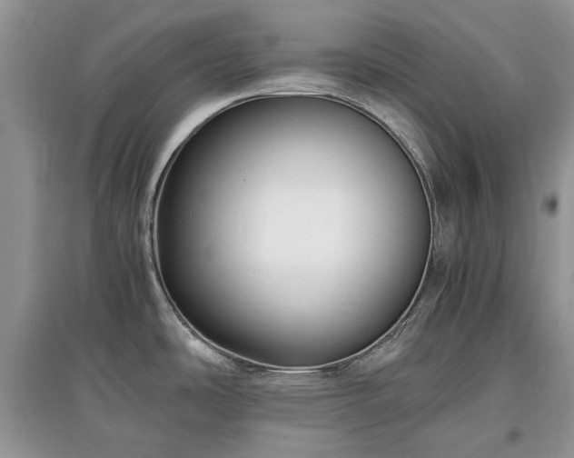 X0000097621486200803071500