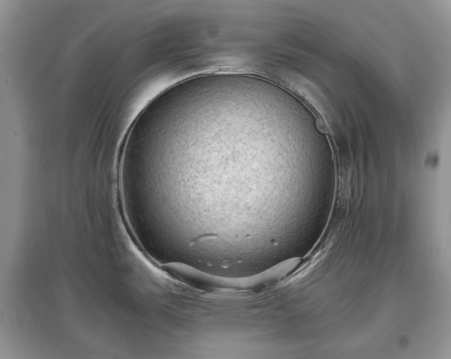 X0000097621487200803071500