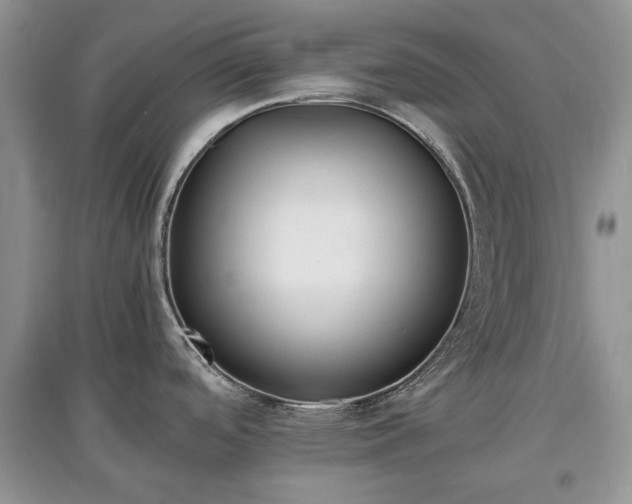X0000097621488200803071459